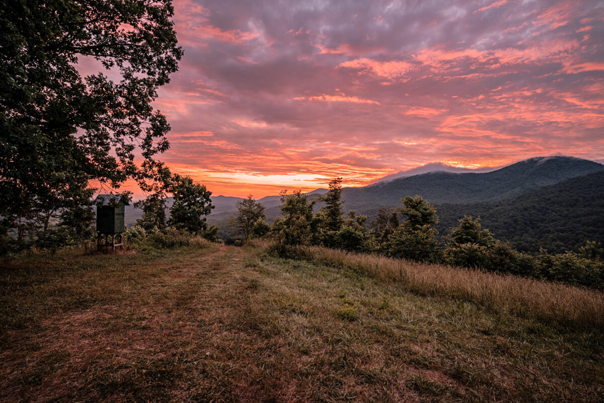 Sunrise from a campsite in the North Carolina mountains