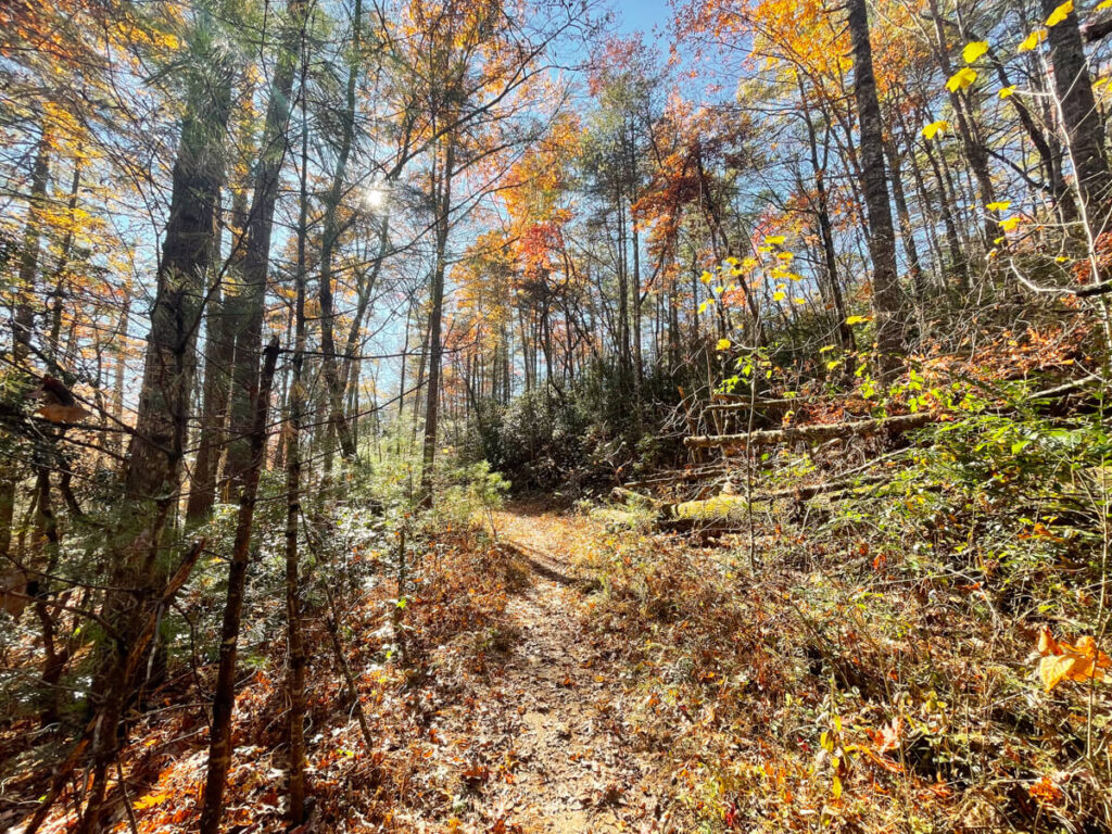 Hiking Guide: Secret Falls Highlands, NC - Madelyne on the Move