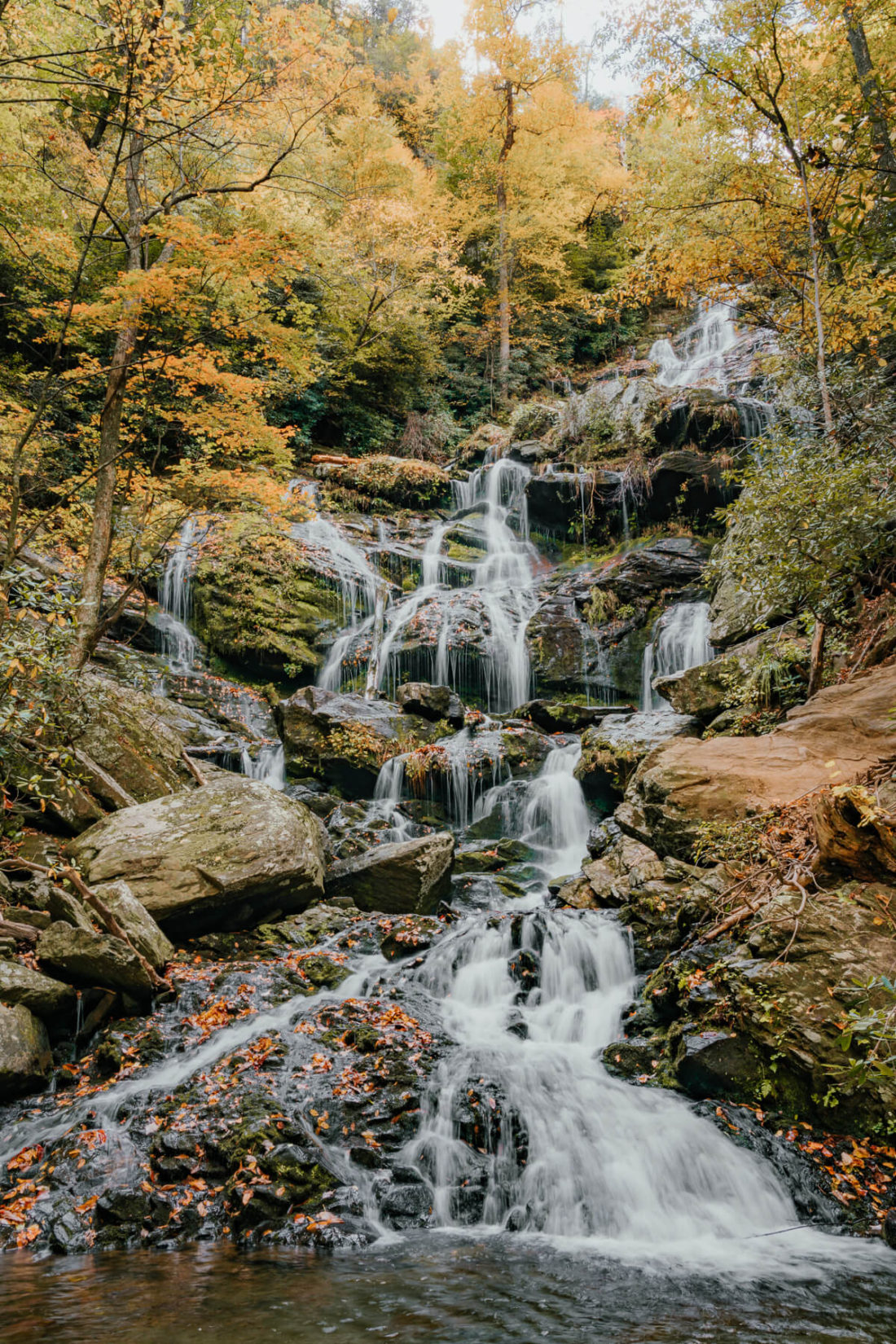 Fall foliage surrounding Lower Catawba Falls in Old Fort, NC