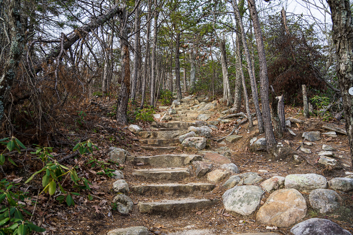 Stairs on the Moore's Wall Loop Trail