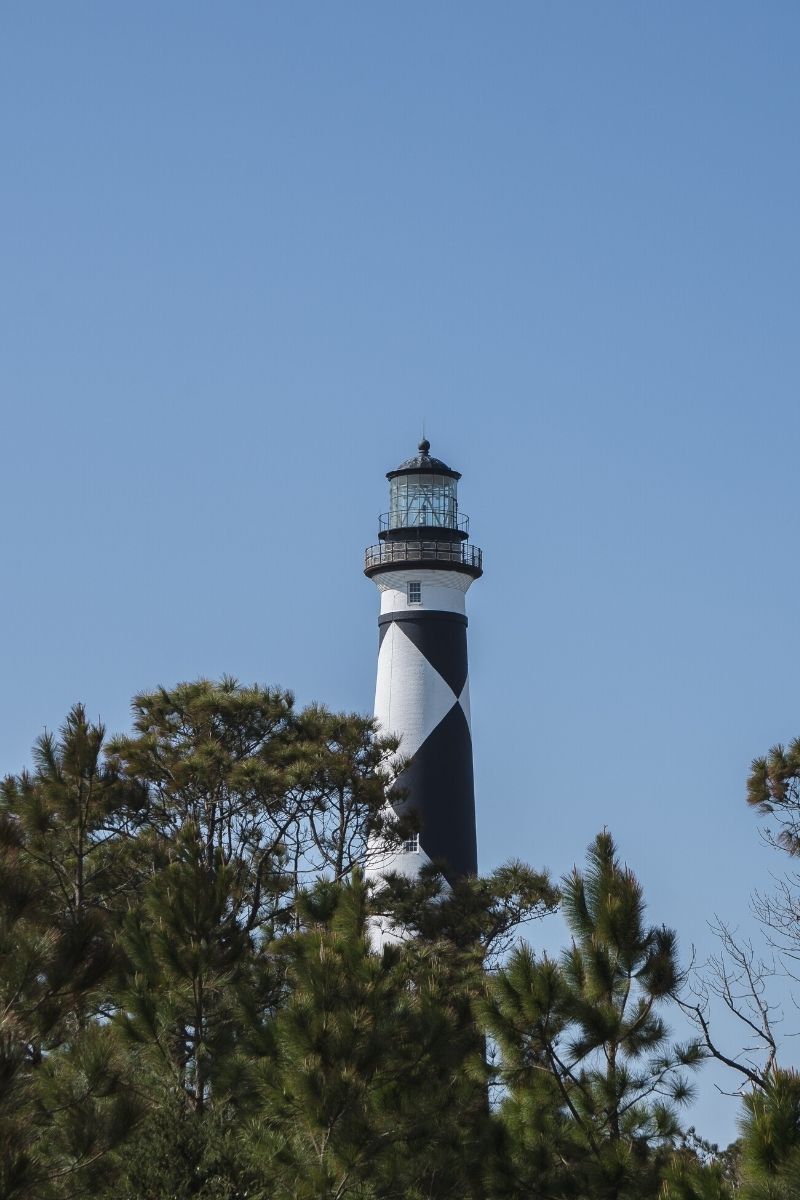 Close up of Cape Lookout Lighthouse framed by pines