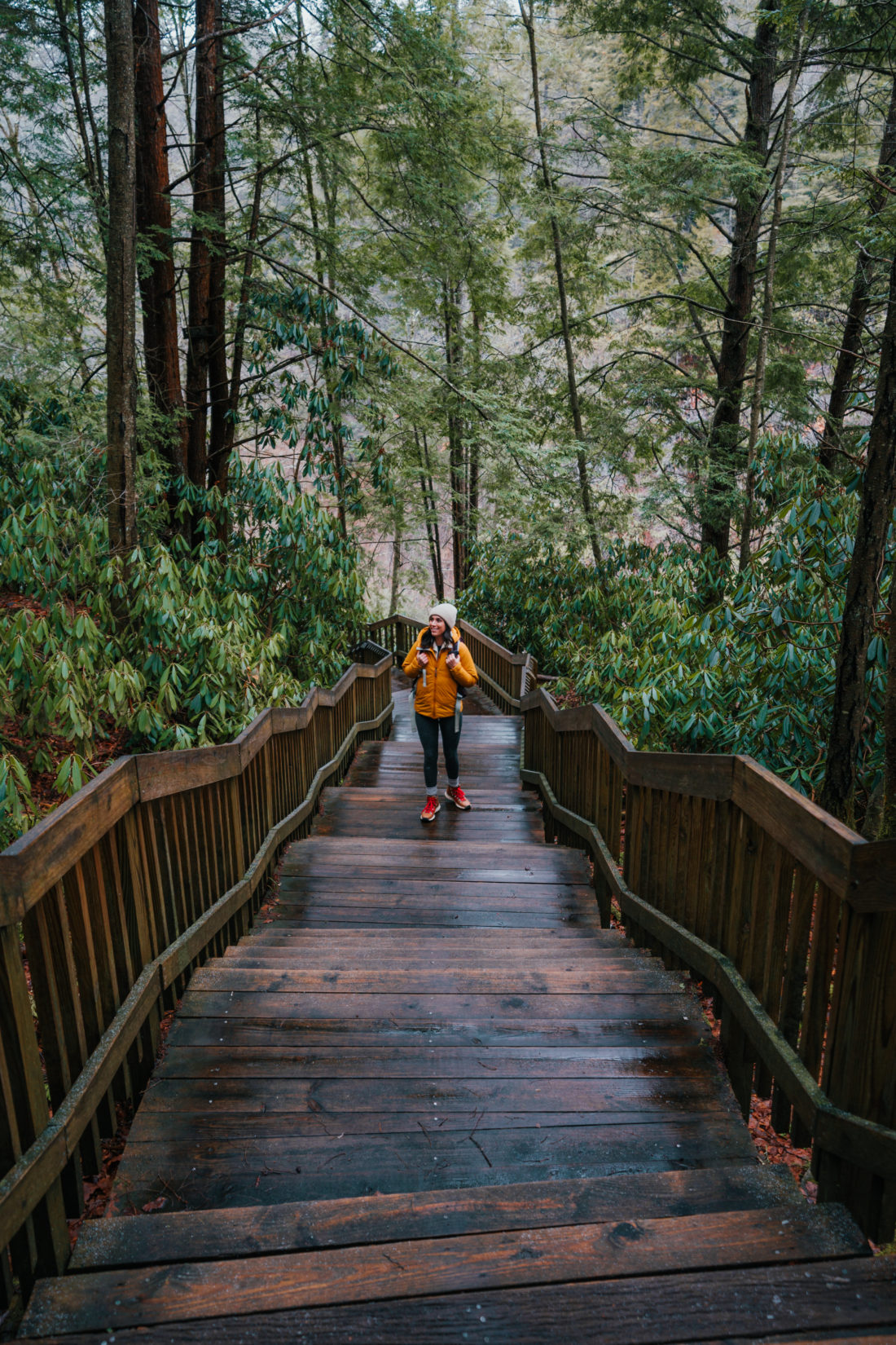 Woman in yellow jacket standing on boardwalk surrounded by greenery