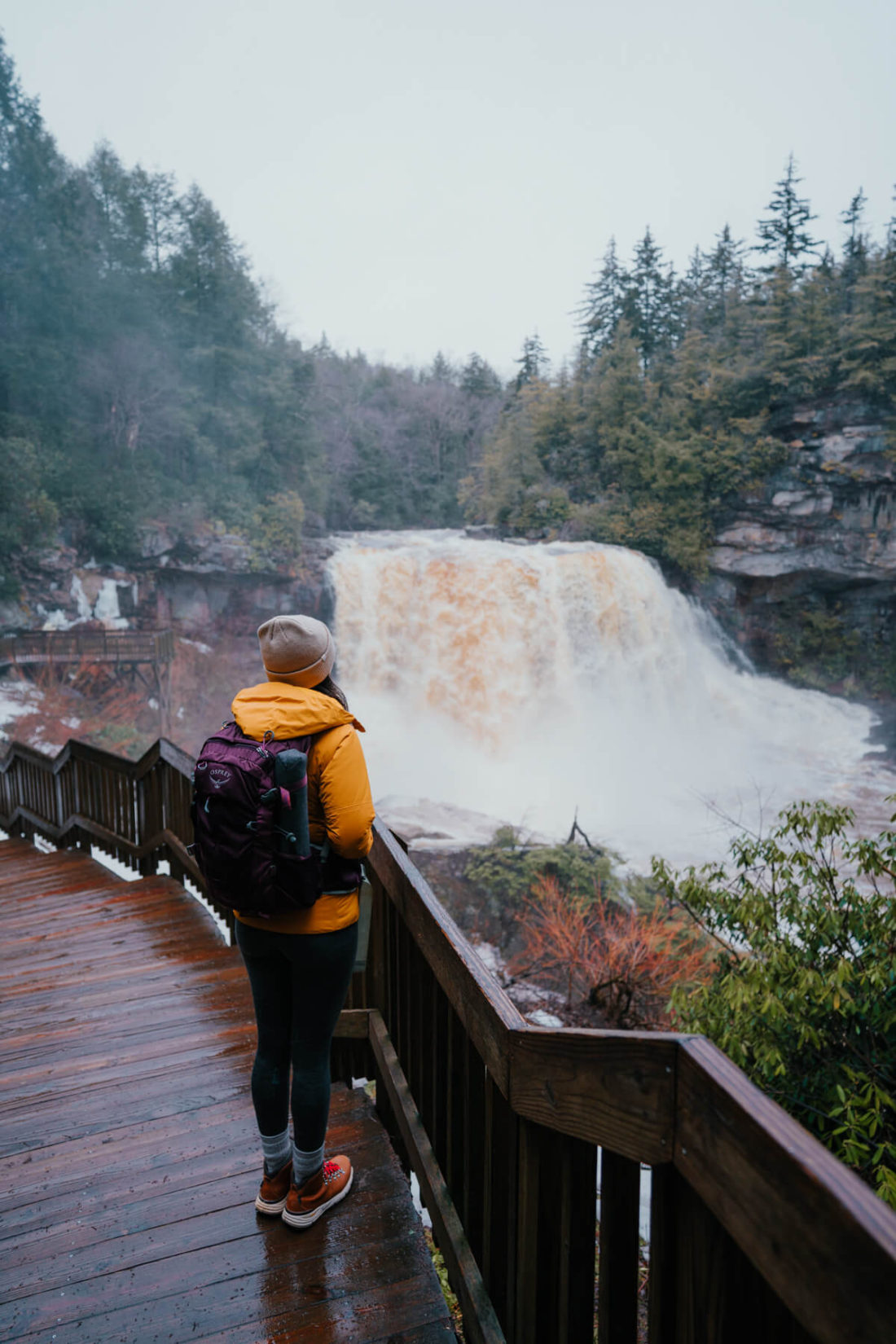 Hiker standing on boardwalk with Blackwater Falls in the distance 