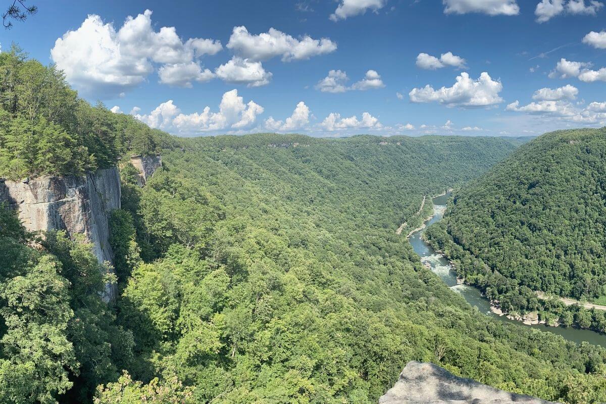 View of New River Gorge and the New River from Endless Wall Trail