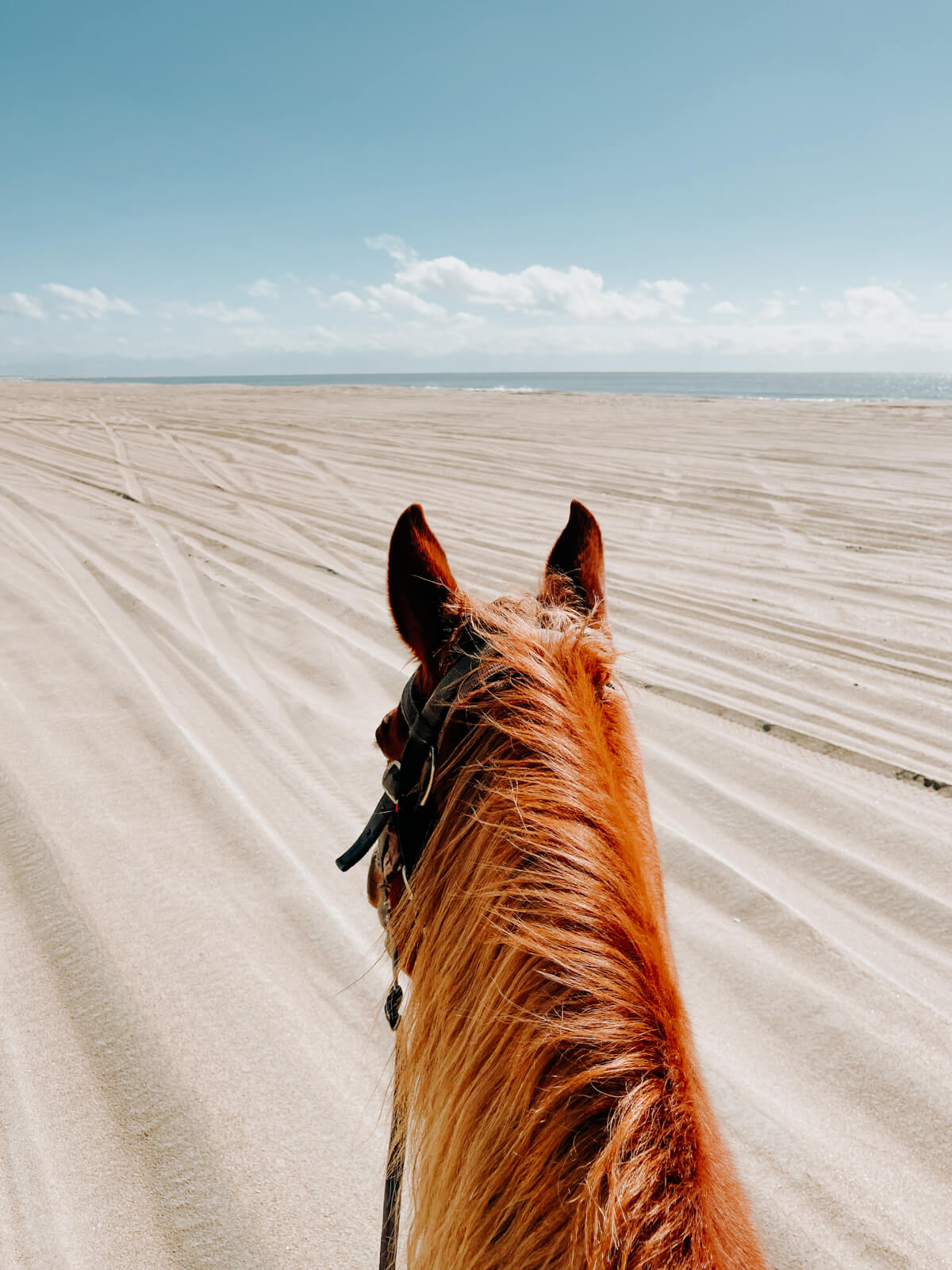 Horseback riding on the Outer Banks
