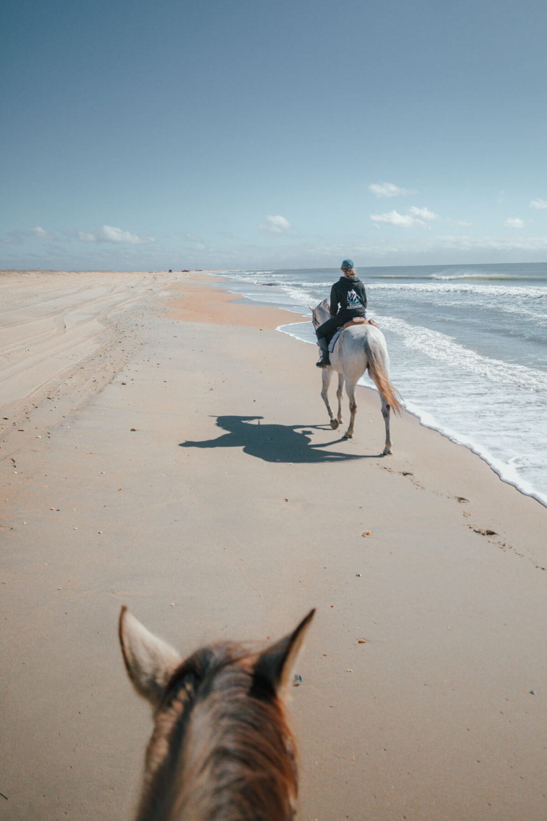 Horseback riding along the shoreline of the Outer Banks